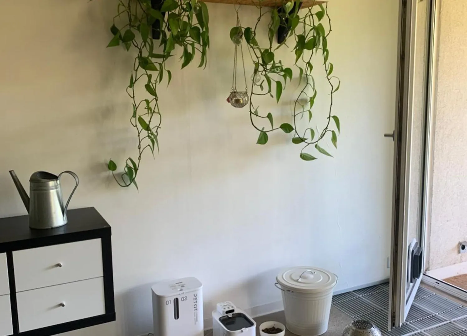 Large 120M Apartment With Garden And Cat Near Zoo Prag